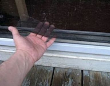 Torn Screens – Pest Control in Barboursville, VA