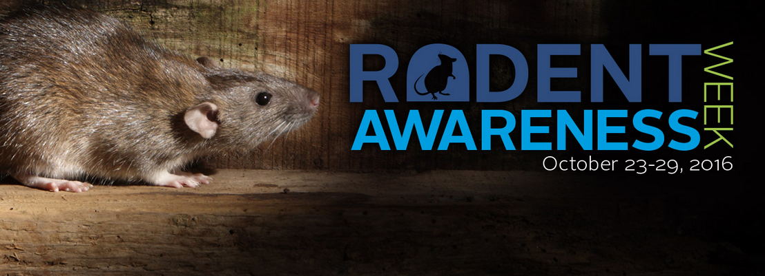 screen-shot-2016-09-30-at-10-33-32-am