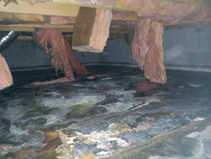 Damaged Crawl Space– Pest Control in Virginia