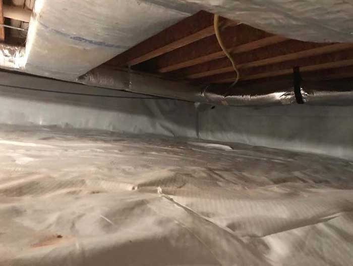 Crawl Space – Pest Control in Virginia
