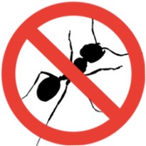 Pest Control
