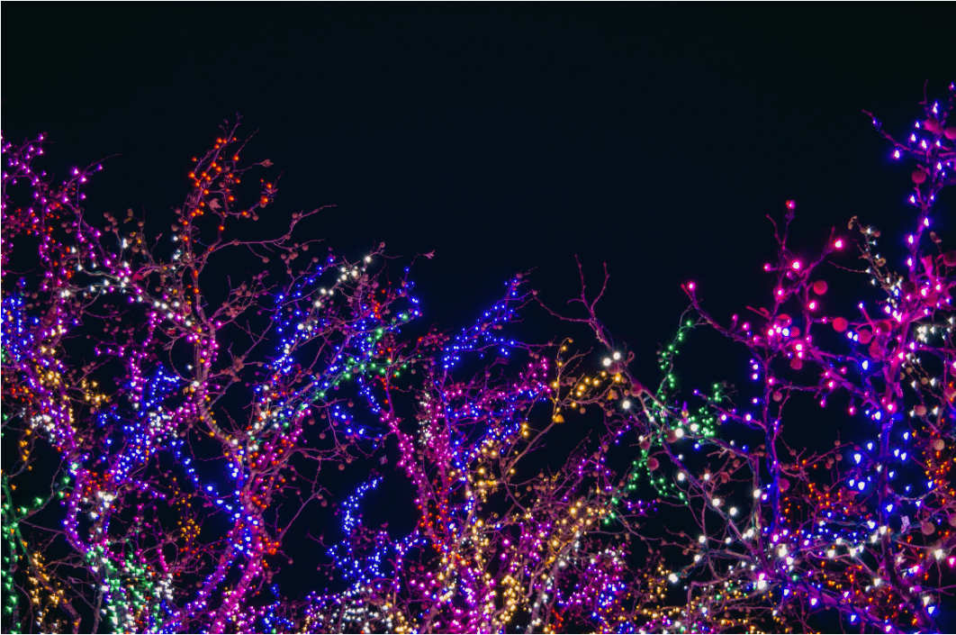 Christmas Lights — Barboursville, WV — PermaTreat Pest & Termite Control