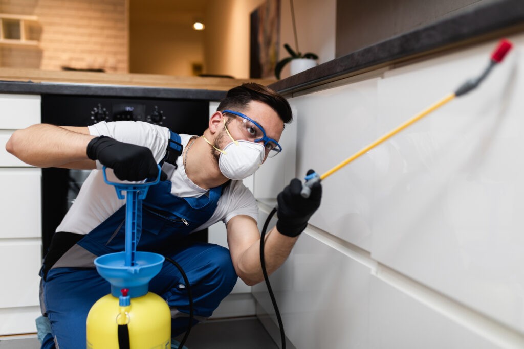 A male exterminator in protective workwear spraying kitchen, as part of safe pest control services.